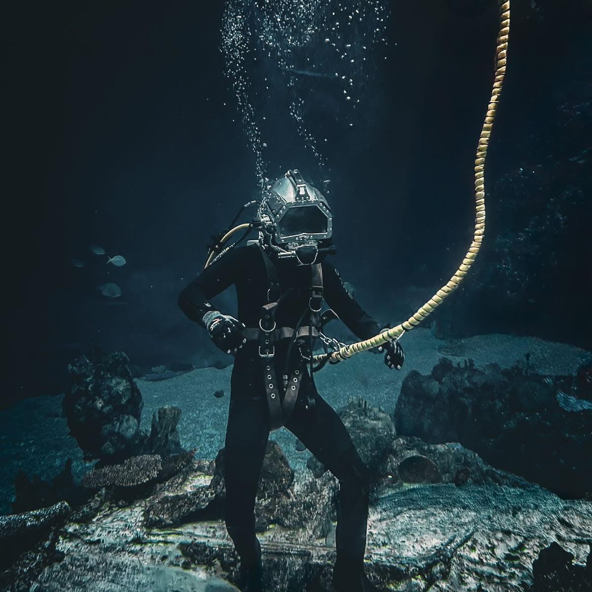 Diver underwater with an umbilical and diving equipment